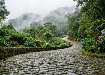 Motoristas que descem a serra paranaense em dias de chuva redobram a atenção ao escorregar nos paralelepípedos centenários cercados por neblina densa e curvas sinuosas