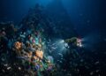 Oceanógrafos descobrem montanha submersa maior que o Monte Olimpo e mais de 100 novas espécies marinhas