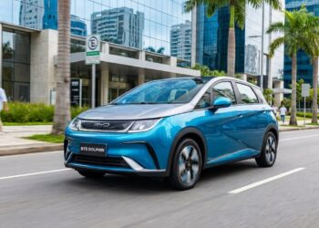 Com bateria de 44,9 kWh e 291 km de autonomia, o elétrico chinês lidera o ranking de vendas e transforma o mercado nacional