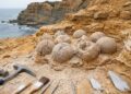 Geólogos descobrem ninho intocado com ovos de dinossauro de 150 milhões de anos em Portugal