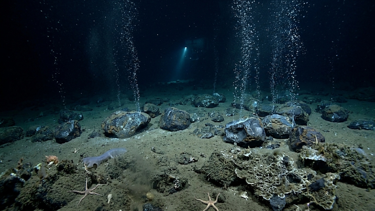 O enigma do "oxigênio negro": oceanógrafos acham ar puro a 4.000 metros de profundidade