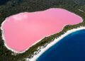 Com 600 metros de extensão, cientistas confirmam que o lago rosa na Austrália ganha sua cor única por causa de microalgas