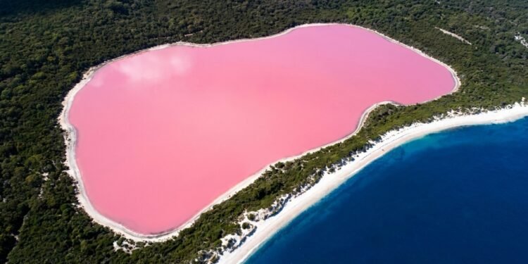 Com 600 metros de extensão, cientistas confirmam que o lago rosa na Austrália ganha sua cor única por causa de microalgas