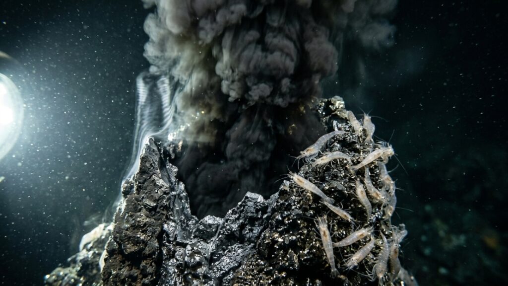 Sensores submarinos detectam vulcão ativo com 2.000 metros de altura no fundo do oceano e estudam como o calor extremo afeta as correntes marinhas globais