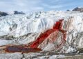 As Cachoeiras de Sangue da Antártida escondem um ecossistema vivo isolado do mundo há mais de 2 milhões de anos sob o gelo
