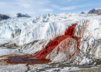 As Cachoeiras de Sangue da Antártida escondem um ecossistema vivo isolado do mundo há mais de 2 milhões de anos sob o gelo