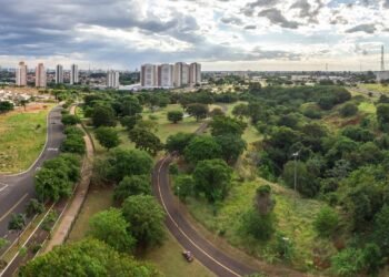 Onde 91 em cada 100 ruas vivem à sombra e o título de capital das árvores é oficial: a cidade brasileira reconhecida no mundo como uma das mais verdes