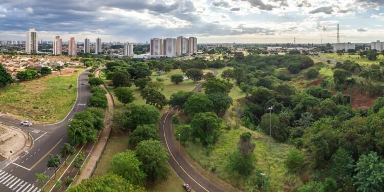 Onde 91 em cada 100 ruas vivem à sombra e o título de capital das árvores é oficial: a cidade brasileira reconhecida no mundo como uma das mais verdes