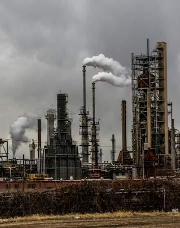 Foto: Patrick Hendry/ Unsplash