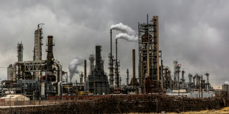 Foto: Patrick Hendry/ Unsplash