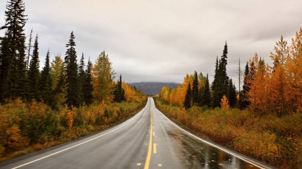 Com 724 km de extensão pelo norte selvagem, a rodovia canadense surge como uma rota de isolamento total entre florestas e montanhas