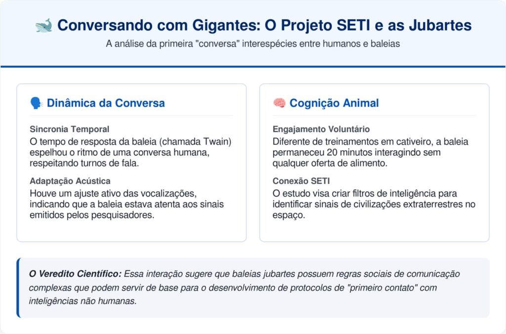 Cientistas falam com baleia jubarte por 20 minutos e abrem caminho para contato extraterrestre