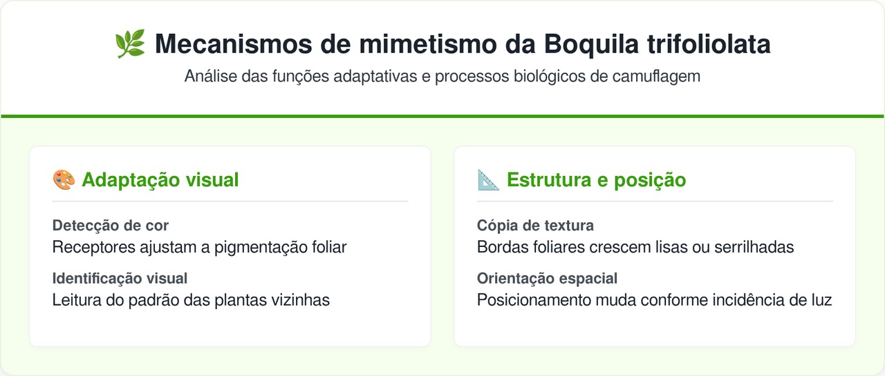 Cientistas provaram que esta trepadeira consegue imitar até folhas de plástico sem nenhum contato físico