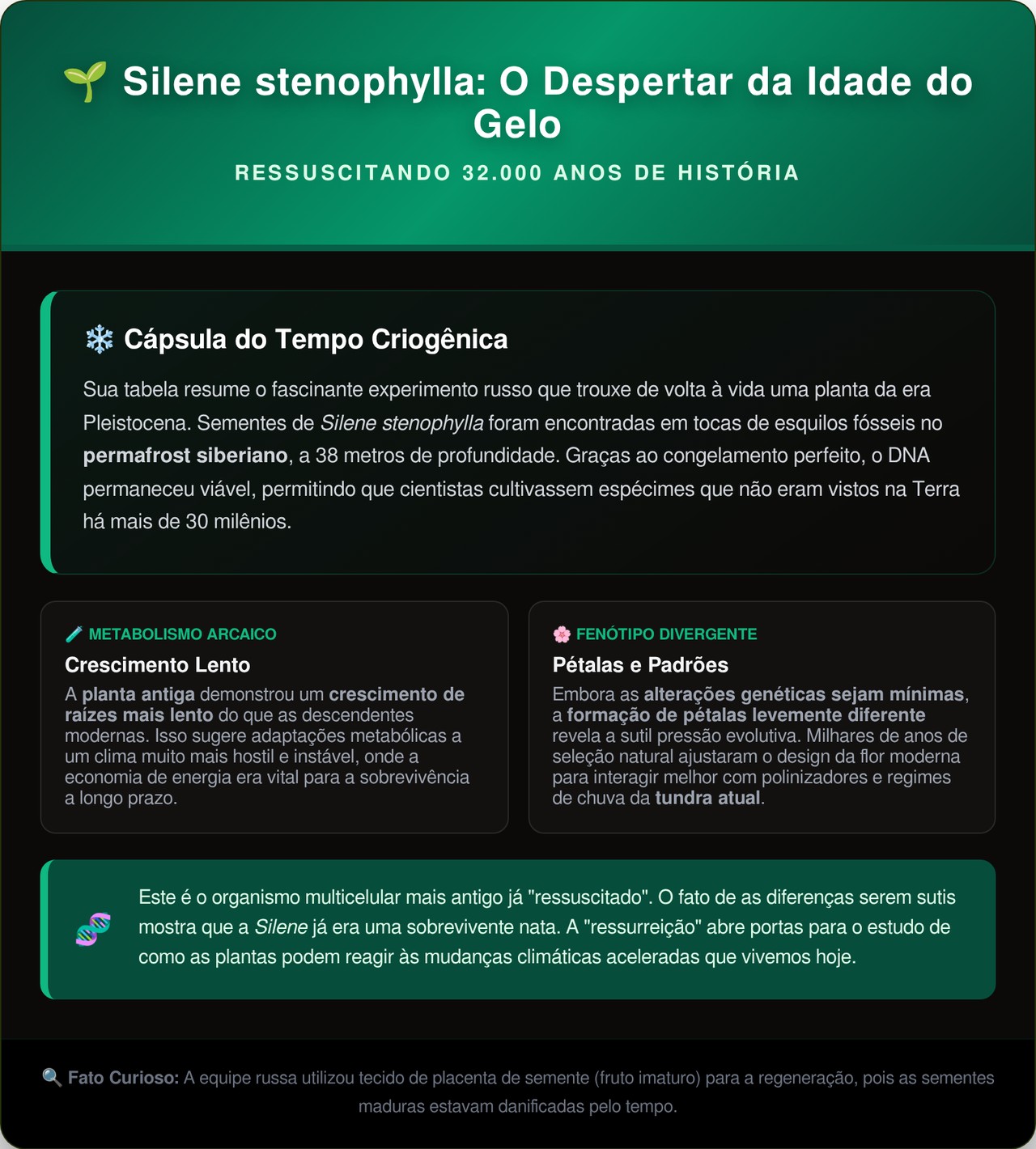 Cientistas russos conseguiram fazer uma flor de 32 mil anos nascer de novo no laboratório