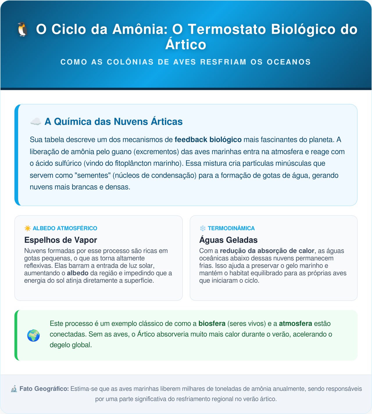 Excremento de pinguins na Antártida está criando nuvens sobre o oceano e cientistas descobrem que o fenômeno é crucial para ajudar a resfriar a Terra