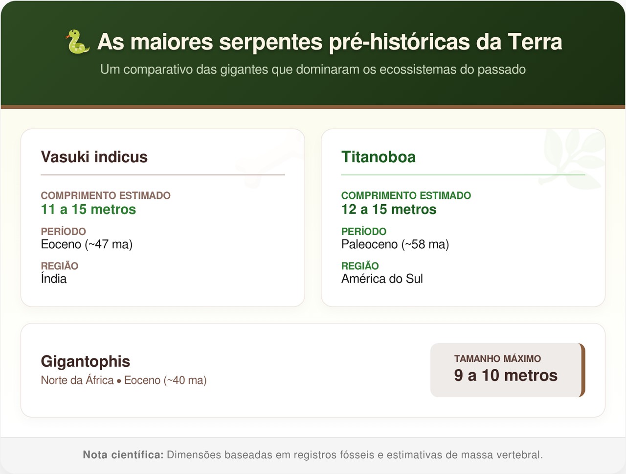 Fósseis achados na Índia revelam monstro de 15 metros que acaba de se tornar a maior cobra que já rastejou na Terra