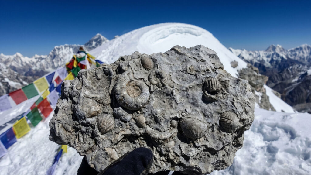 A 8.848 metros de altitude, cientistas encontram fósseis marinhos no Everest, revelando que as rochas da montanha mais alta já integraram o fundo oceânico