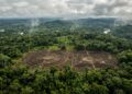 Esqueça o que você sabe sobre a Amazônia, cientistas descobrem rede de cidades de 2.500 anos com estradas complexas que abrigavam milhões de pessoas no Brasil