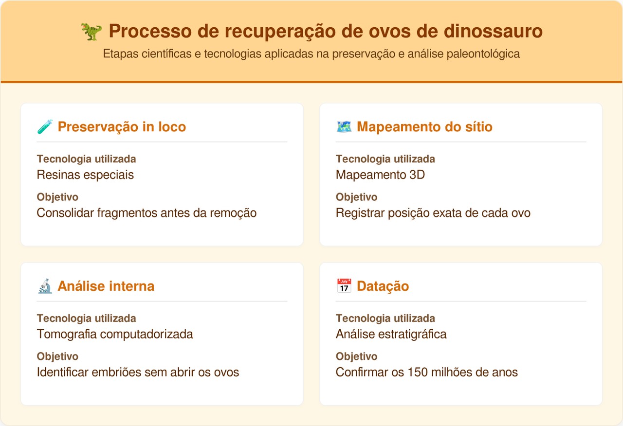 Geólogos descobrem ninho intocado com ovos de dinossauro de 150 milhões de anos em Portugal
