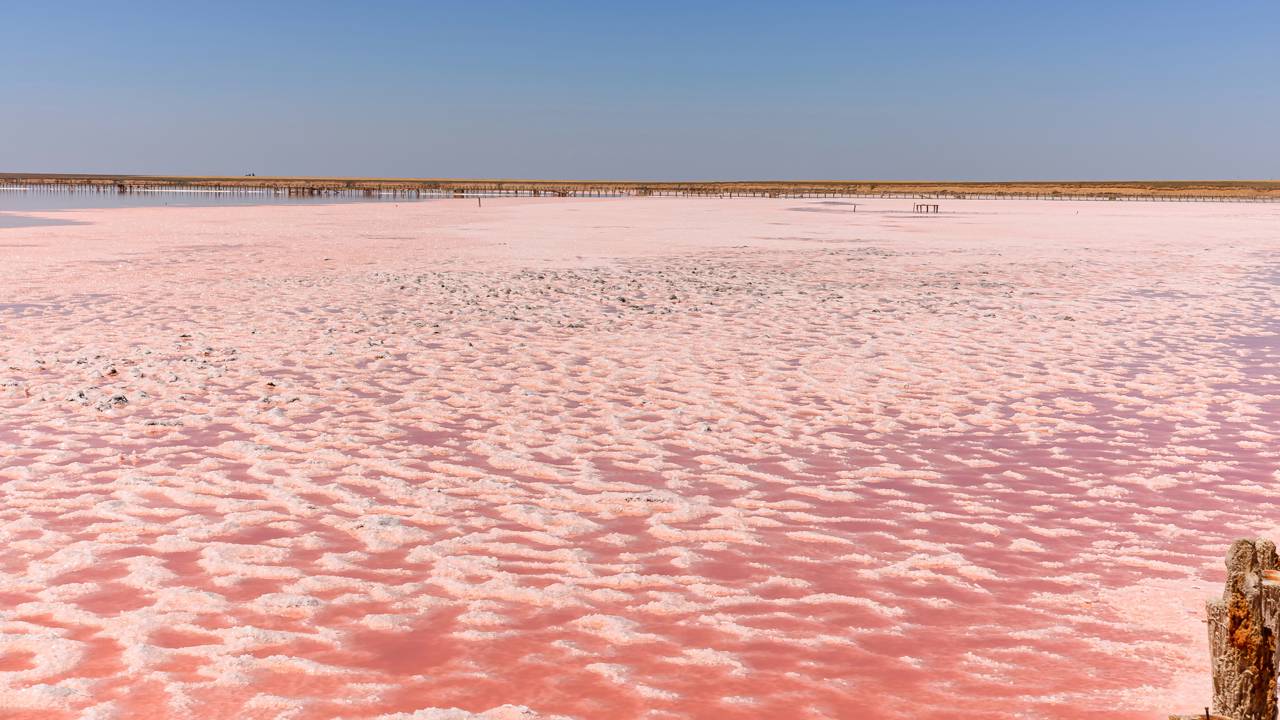 Com 600 metros de extensão, cientistas confirmam que o lago rosa na Austrália ganha sua cor única por causa de microalgas