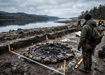 Descoberta de assentamento neolítico preservado em pântano na Suécia