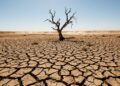As conclusões do estudo da Nature Communications sobre secas persistentes e suas implicações para a segurança hídrica global