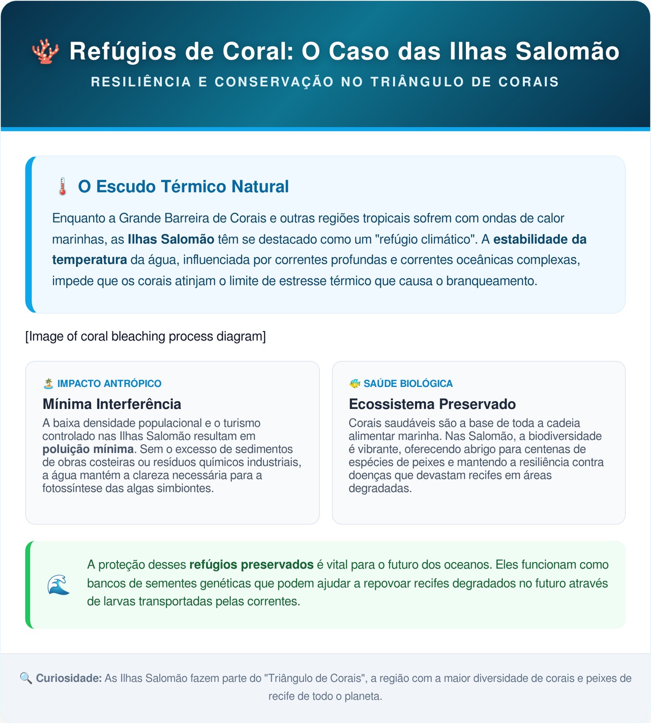 Maior do que uma baleia azul: cientistas descobrem por acaso a mais vasta colônia de corais do mundo, viva e preservada desde o século 16