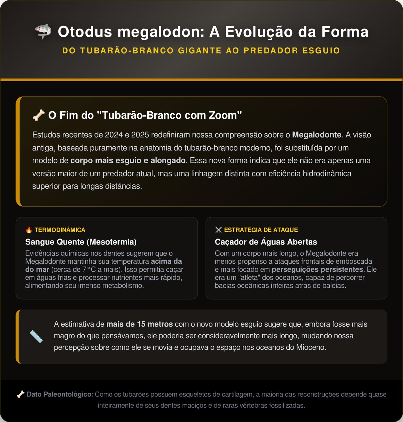 Muito além do tubarão-branco: novos estudos revelam que o predador pré-histórico Megalodon era ainda mais longo e letal do que a ciência imaginava