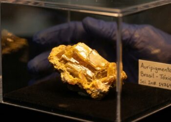 Esqueça o ouro, pois esta gema amarela com 61% de arsênico surge como um veneno letal e um extremo brilho resinoso