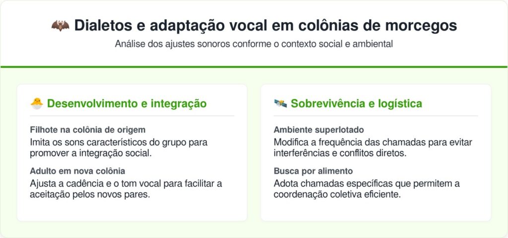 Os morcegos falam com sotaque e a ciência finalmente entendeu como eles aprendem isso