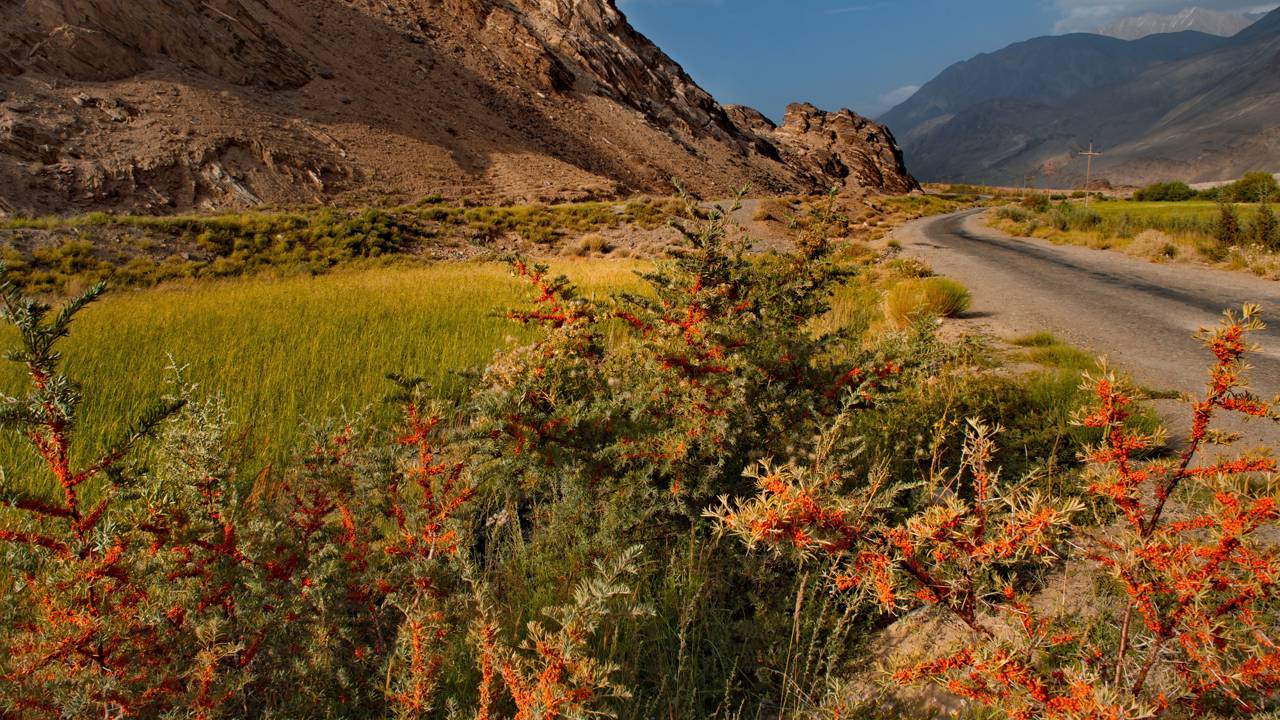 Com 1.252 km de extensão e 4.655 metros de altitude, a rodovia Pamir surge como uma das estradas internacionais mais altas e isoladas do mundo