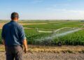 Com 55 mil pivôs ativos e uso do Aquífero Ogallala, o sistema de irrigação do Nebraska virou o maior símbolo da produtividade agrícola de todo o país
