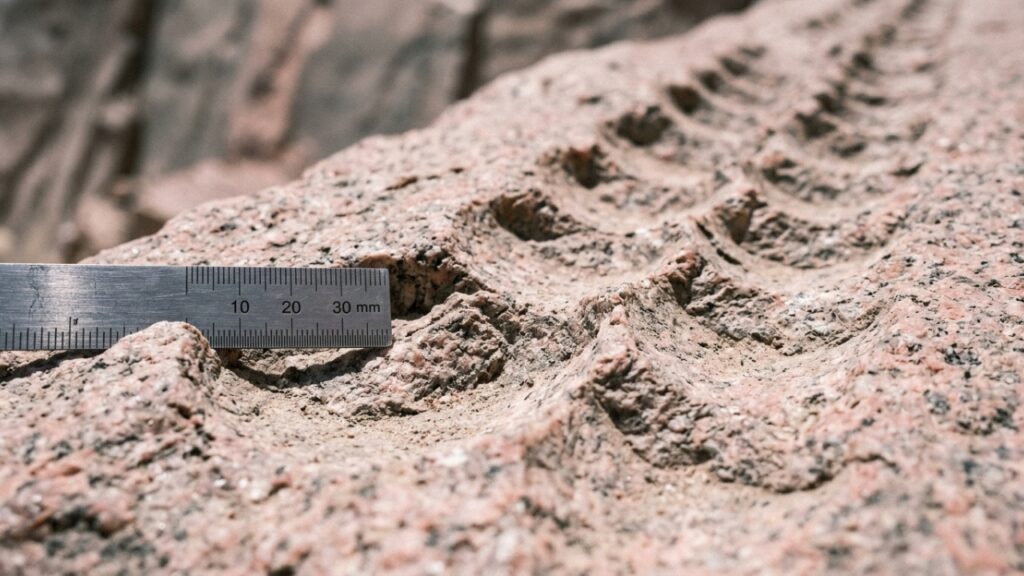 O obelisco gigante de 1.200 toneladas que nunca foi erguido revela a técnica secreta de corte por atrito que desafia as ferramentas modernas em 2026