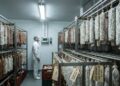 Com 500 quilos de carne processada e 35 dias de cura, a engenharia da indústria alimentícia cria o salame defumado