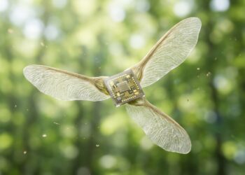 Cientistas americanos criaram microchips menores que um grão de areia que voam sozinhos e monitoram o ar que você respira