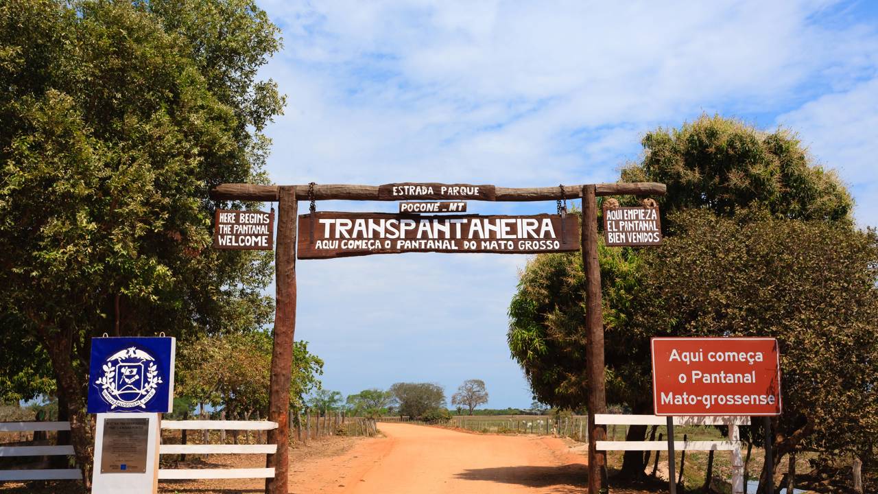 Com 120 pontes de madeira em apenas 147 km, a rodovia de terra é a principal via para observação da fauna silvestre no Pantanal mato-grossense