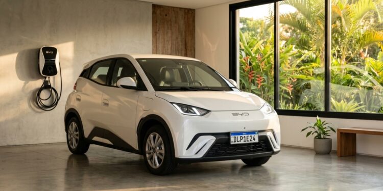 Rodando cerca de 300 quilômetros com uma carga, o compacto elétrico chinês que utiliza baterias de lâmina para garantir a estabilidade térmica total