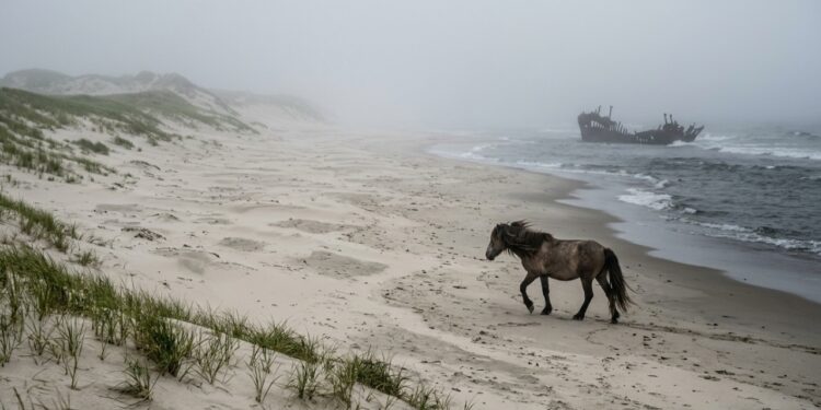 Você já imaginou uma ilha tão protegida que exige autorização por escrito e desinfecção dos sapatos antes de pisar na areia?