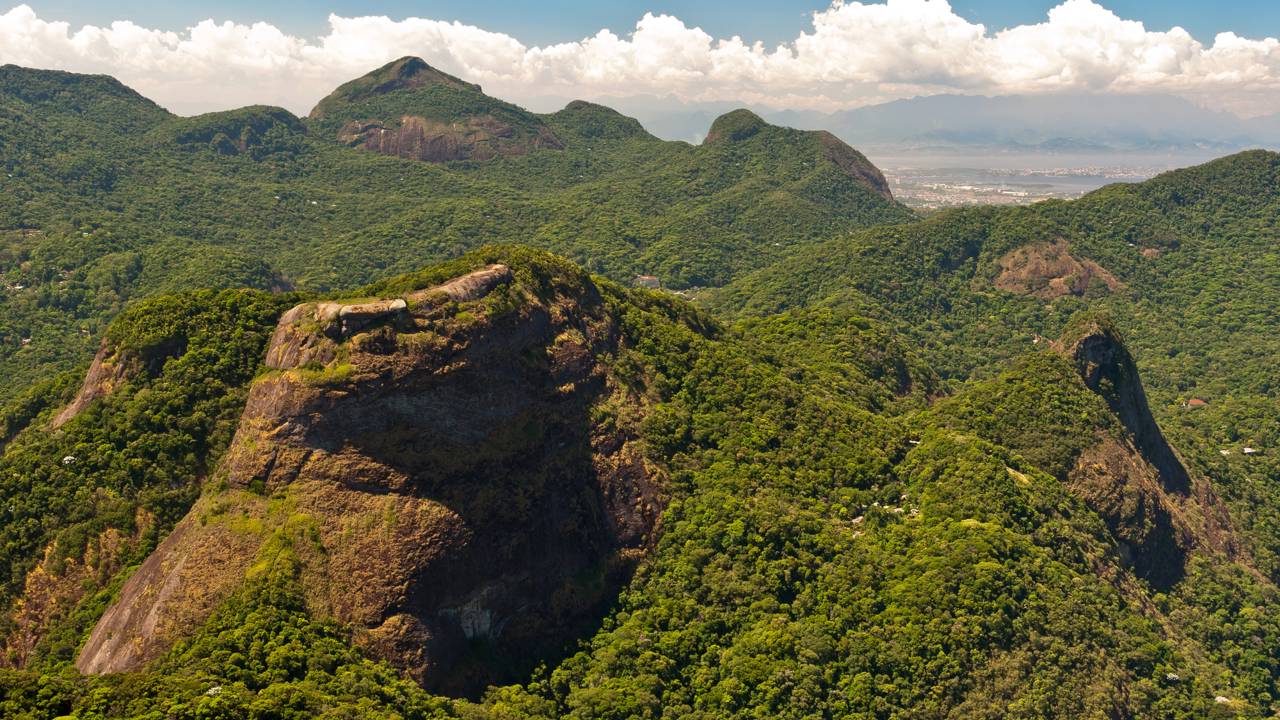 A famosa metrópole que plantou 39 km² de floresta para não morrer de sede