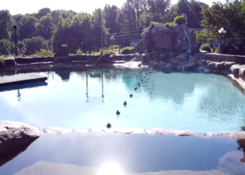 A maior piscina caseira do mundo construída em um quintal
