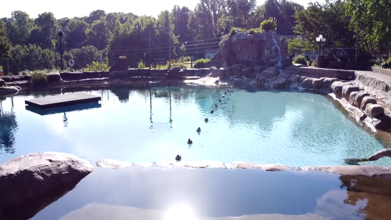 A maior piscina caseira do mundo construída em um quintal