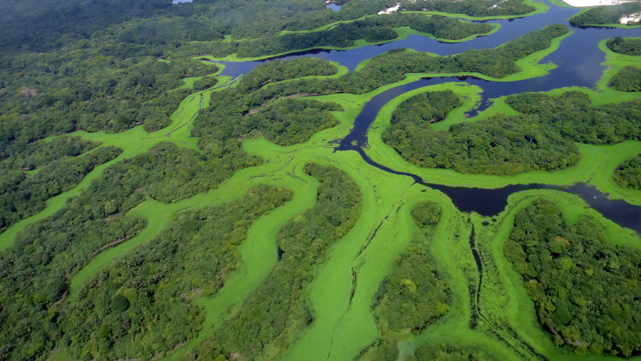 Com 400 ilhas que aparecem e desaparecem: essa cidade amazonense que guarda o 2º maior arquipélago fluvial do planeta