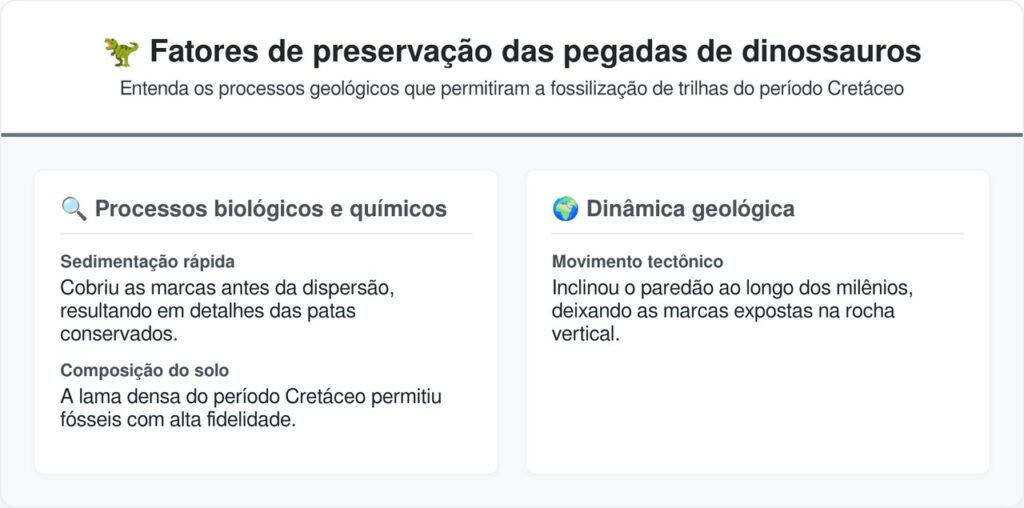 Alpinistas encontram acidentalmente na Itália um conjunto inacreditável de evidências de um pisoteio de tartarugas marinhas de 80 milhões de anos em um paredão rochoso com vista para o mar Adriático