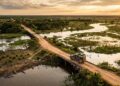 Com 120 pontes de madeira em apenas 147 km, a rodovia de terra é a principal via para observação da fauna silvestre no Pantanal mato-grossense