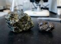 Esqueça o quartzo, pois este mineral rico em magnésio compõe meteoritos raros e surge como o registro de sobrevivência do sistema solar