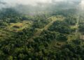 Cientistas usaram laser e revelaram cidades amazônicas de 2.500 anos escondidas sob a floresta