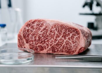 Cientistas japoneses criaram um bife de Wagyu em laboratório que tem o mesmo sabor e textura do original