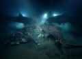 Com 1.629 metros de profundidade e 8 tubarões gigantes, um experimento no mar revelou uma caça rara no escuro