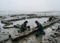 Mergulhadores alemães encontraram sob a lama do Mar do Norte a cidade medieval que afundou numa única noite e que inspirou a lenda europeia mais antiga sobre o fim de uma civilização