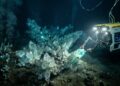 Pesquisadores mapeiam enorme estrutura de cristal no fundo do Oceano Índico que desafia teorias conhecidas da geologia marinha